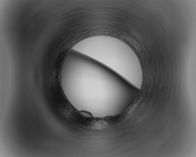 X0000099490572200805150930