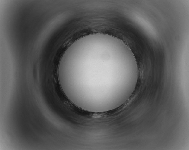 X0000099490574200805150930