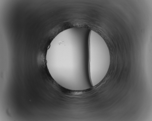 X0000099490575200805150930