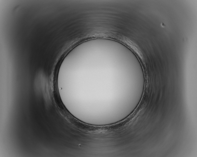 X0000099490578200805150930