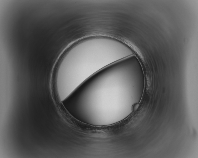 X0000099490580200805150929