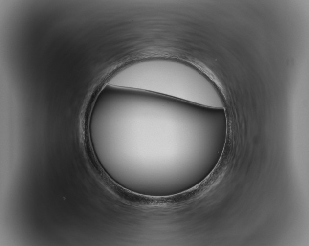 X0000099490581200805150929
