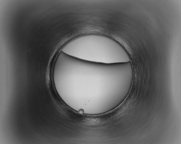 X0000099490582200805150929