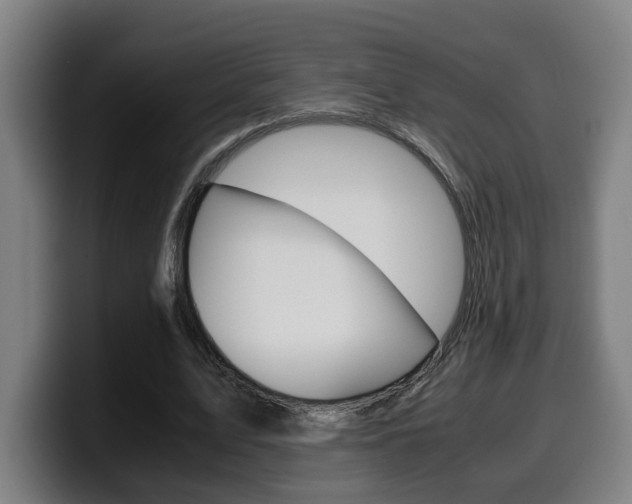 X0000099490583200805150929