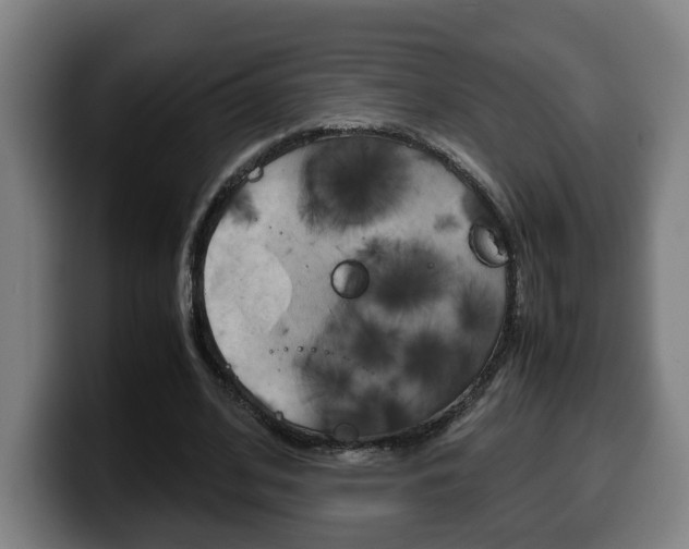 X0000099490584200805150929