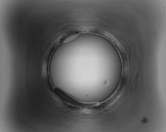 X0000099490585200805150929