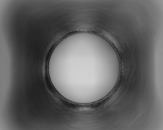 X0000099490586200805150929