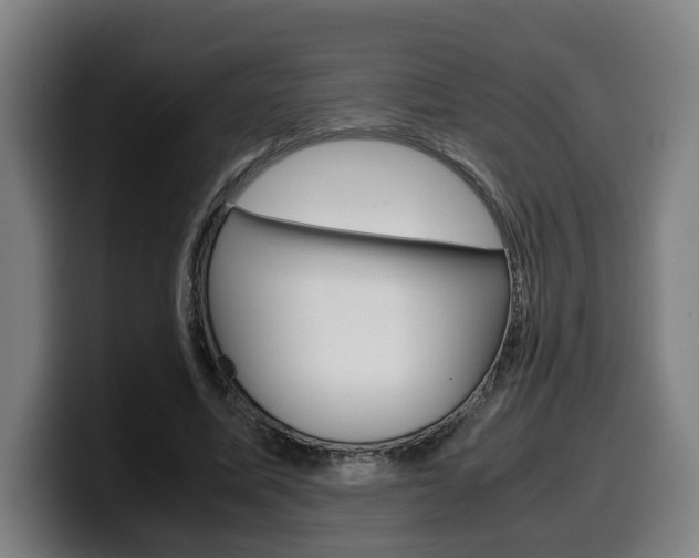 X0000099490587200805150929