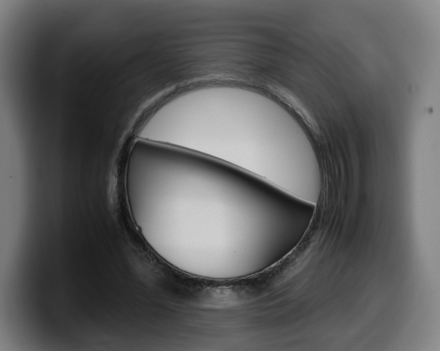 X0000099490588200805150929