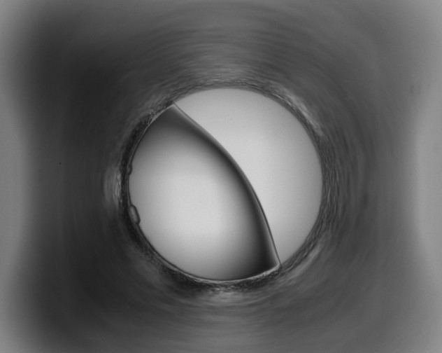 X0000099490589200805150929
