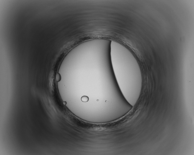 X0000099490590200805150929