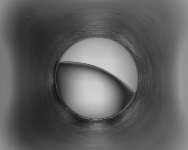 X0000099490593200805150929
