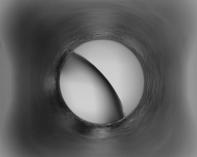 X0000099490595200805150929