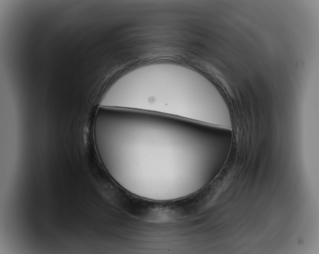 X0000099490596200805150929