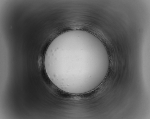X0000099490598200805150929