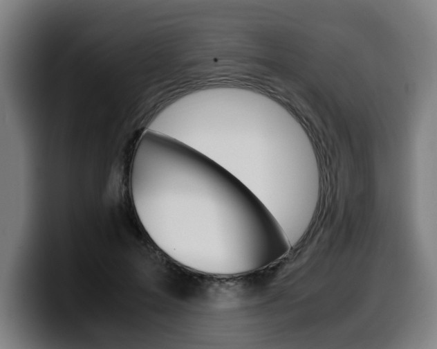 X0000099490599200805150929