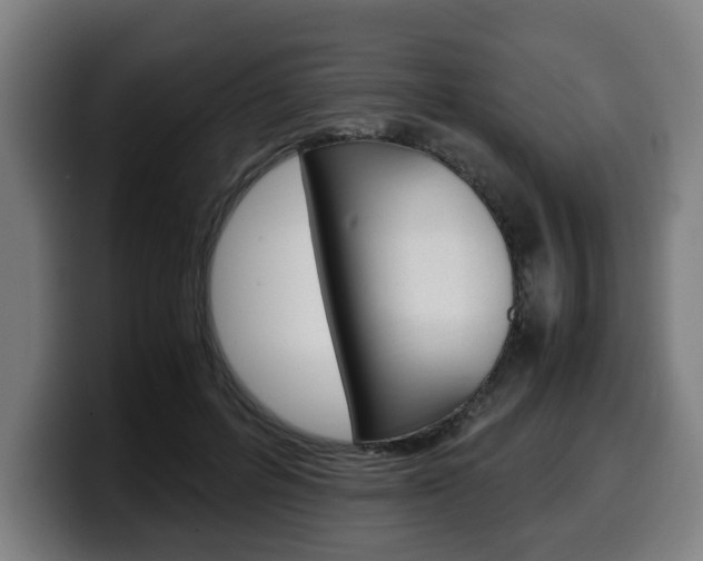 X0000099490600200805150929