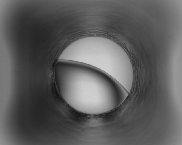 X0000099490601200805150929
