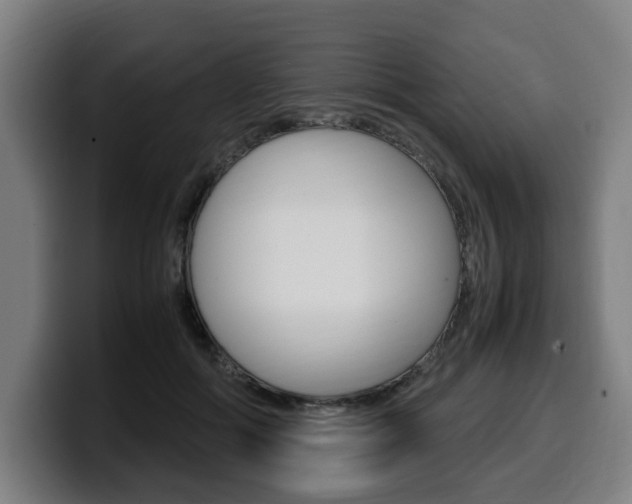 X0000099490602200805150929