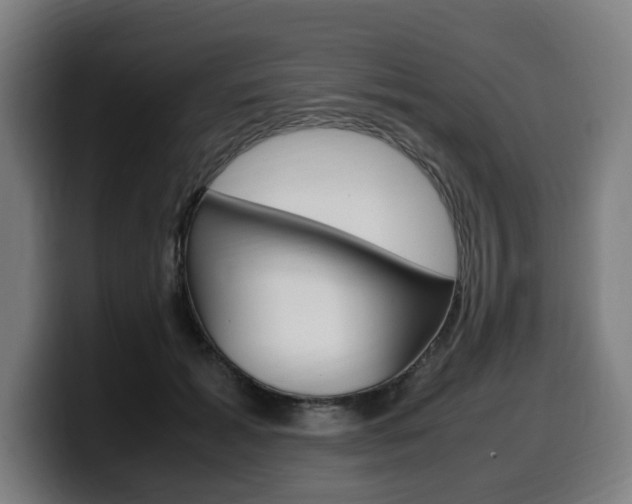X0000099490605200805150929