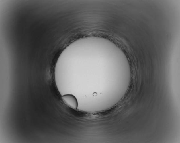 X0000099490607200805150929
