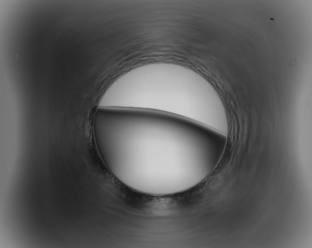 X0000099490609200805150929