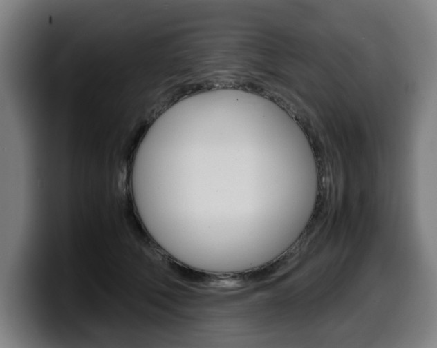 X0000099490610200805150929