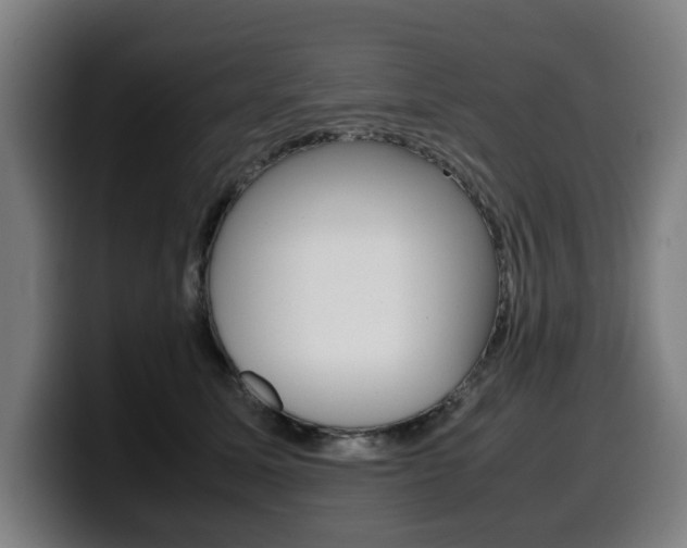 X0000099490611200805150929