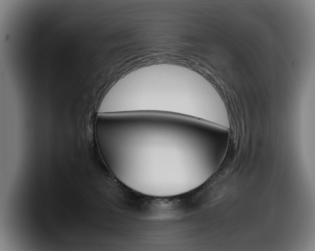 X0000099490613200805150929