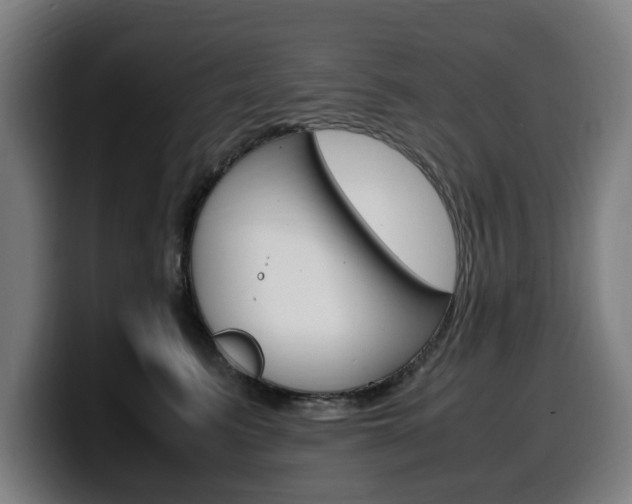 X0000099490615200805150929