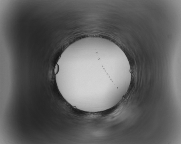 X0000099490619200805150929