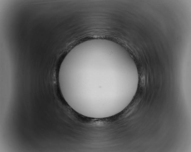 X0000099490620200805150929
