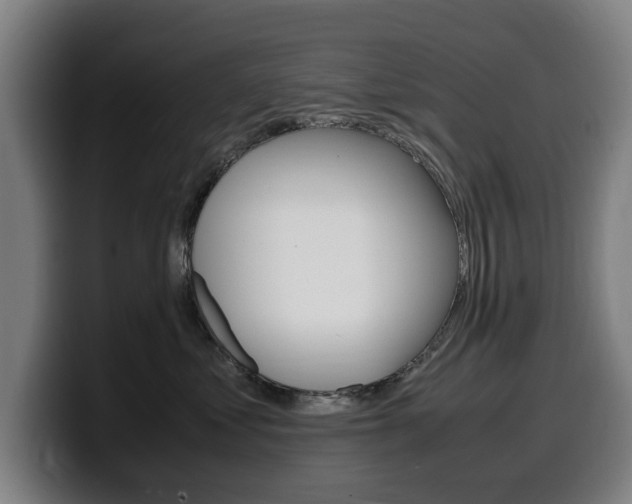 X0000099490621200805150929