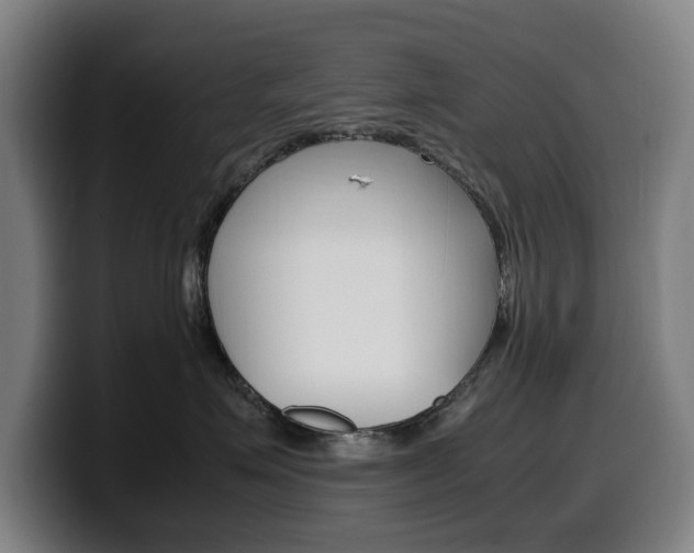 X0000099490623200805150929