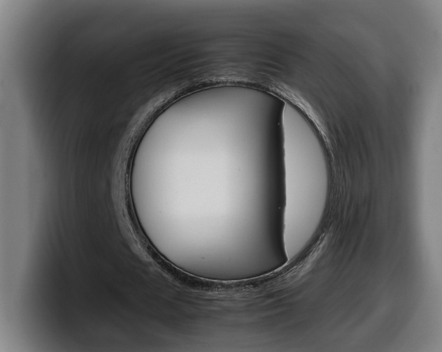 X0000099490625200805150928
