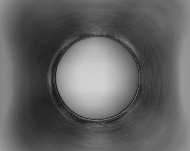 X0000099490626200805150928