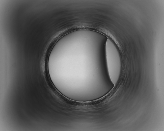 X0000099490629200805150928