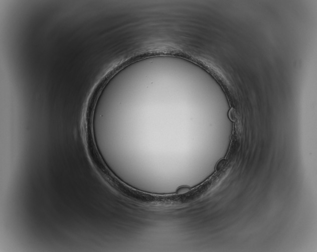 X0000099490630200805150928