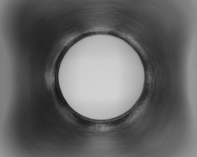 X0000099490632200805150928