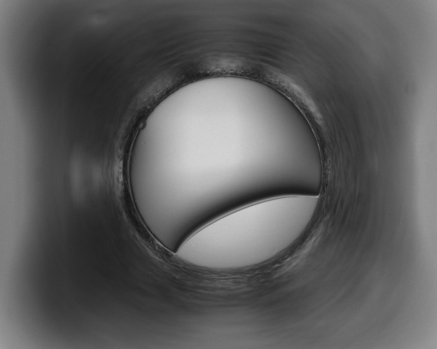 X0000099490633200805150928