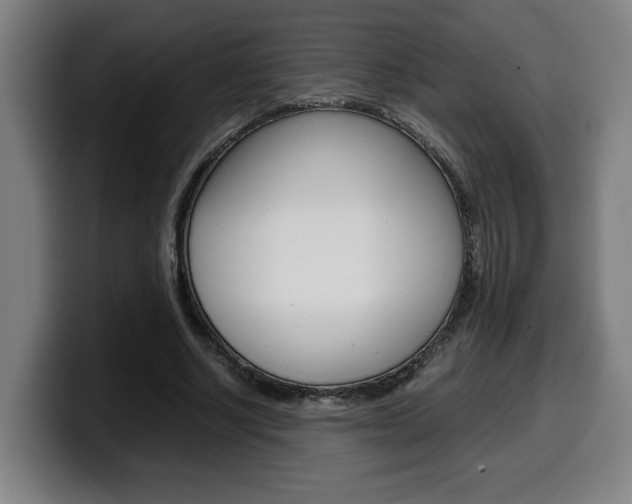 X0000099490634200805150928