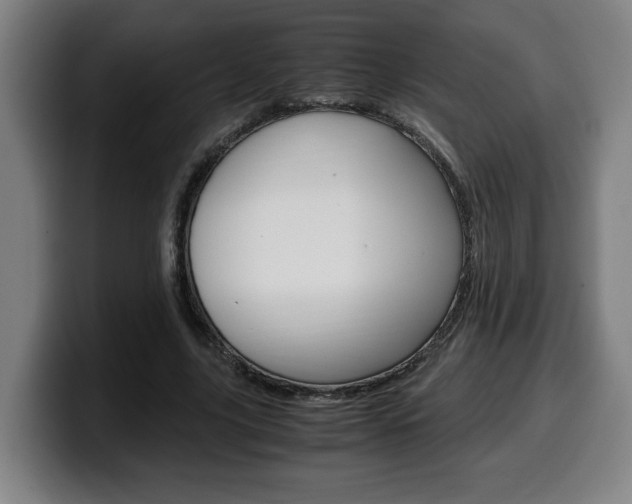 X0000099490635200805150928