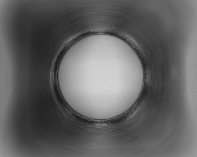 X0000099490636200805150928