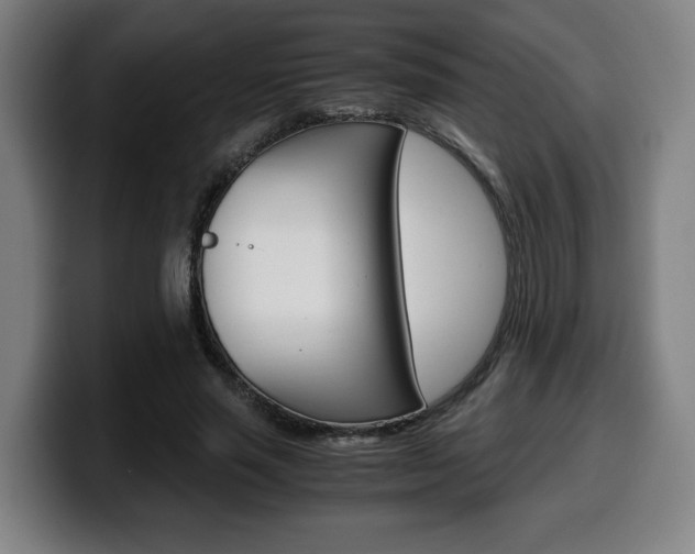 X0000099490637200805150928