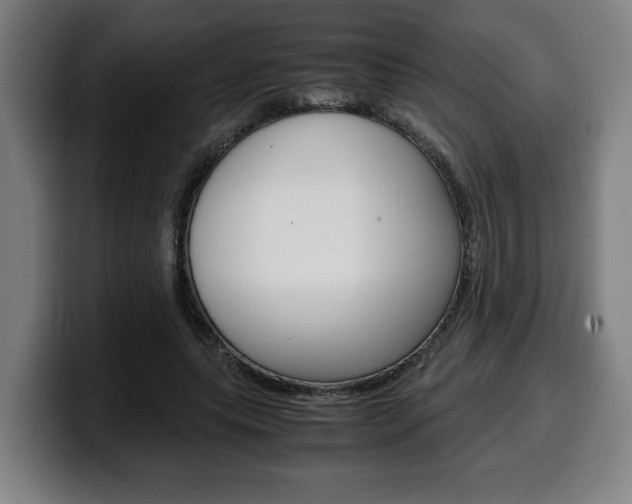 X0000099490639200805150928