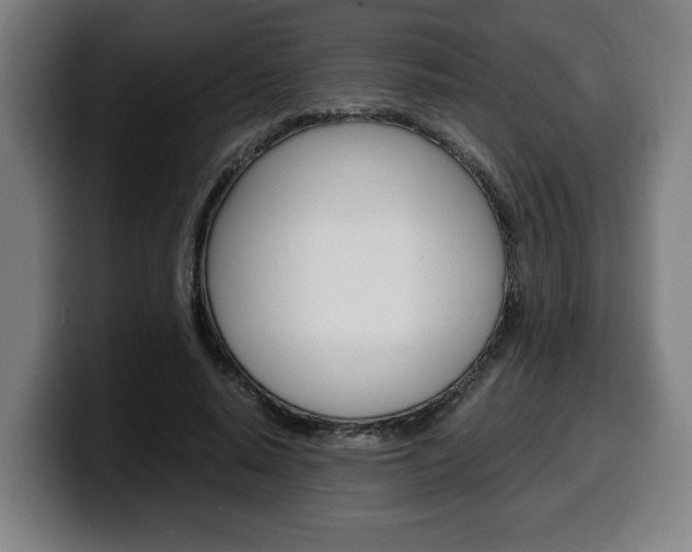 X0000099490640200805150928