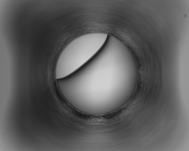 X0000099490642200805150928