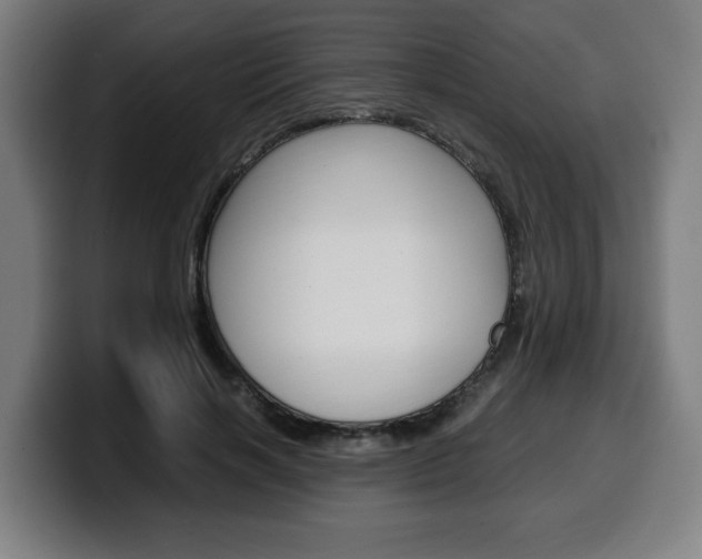 X0000099490646200805150928