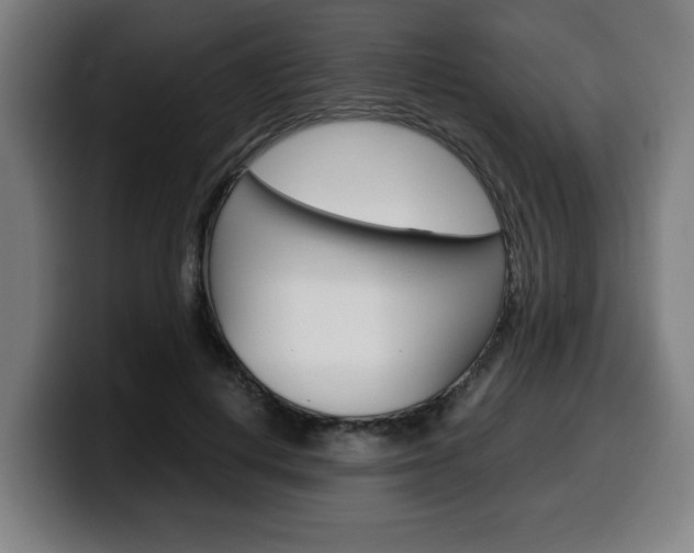 X0000099490648200805150928