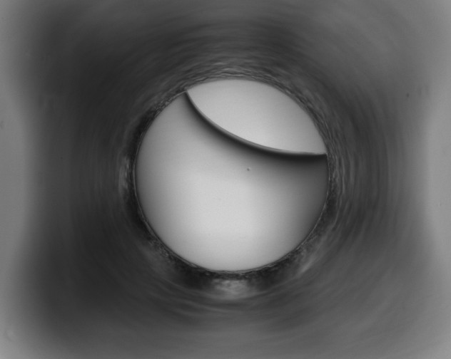 X0000099490649200805150928